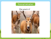科普版英語(yǔ)四下Unit8 Lesson8《Do you have a ruler 》第三課時(shí) 課件+教案+素材