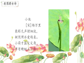 15 古诗二首 晓出净慈寺送林子方 （课件）-2024-2025学年语文二年级下册统编版