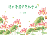 15 古诗二首 晓出净慈寺送林子方 （课件）-2024-2025学年语文二年级下册统编版