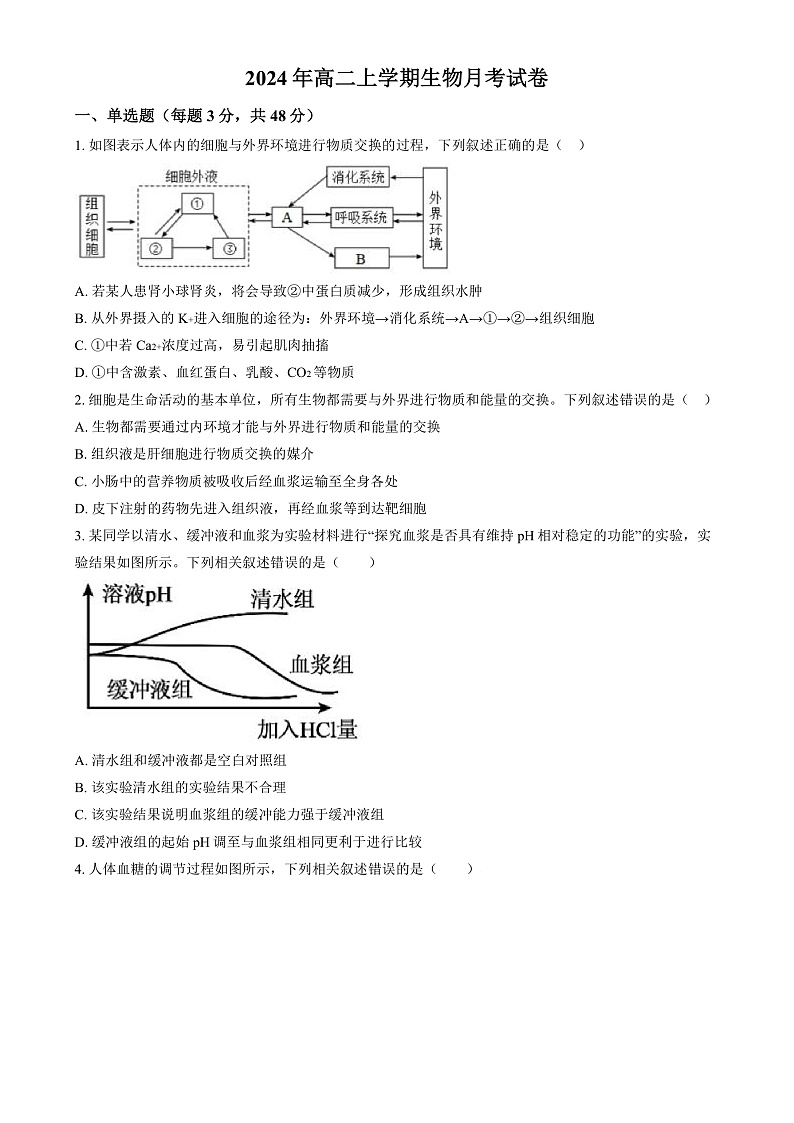 湖南省岳阳市岳阳县第一中学2024-2025学年高二上学期12月月考生物试题（原卷版）第1页