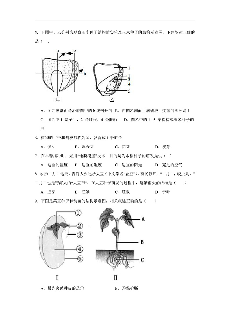 3.1.1种子的萌发 课时练习第2页