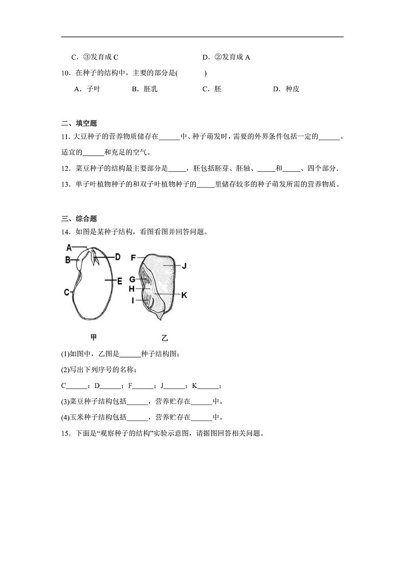 3.1.1种子的萌发 课时练习第3页