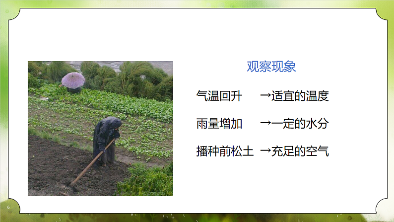 【核心素养】人教版初中生物七年级下册3.1.1《种子的萌发》课件第7页
