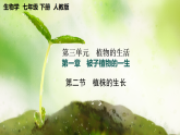 【核心素养】人教版初中生物七年级下册3.1.2《植株的生长》课件＋教案(含教学反思)+课时练习+学案