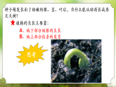 【核心素养】人教版初中生物七年级下册3.1.2《植株的生长》课件＋教案(含教学反思)+课时练习+学案
