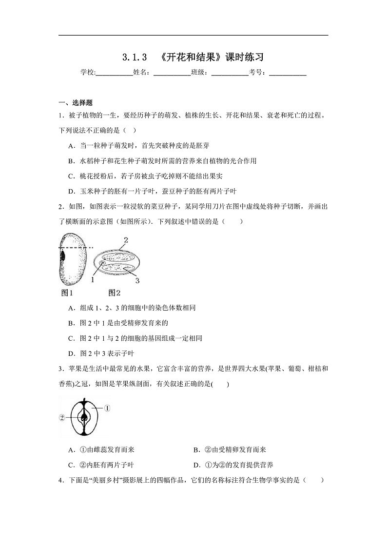 3.1.3  《开花和结果》课时练习第1页
