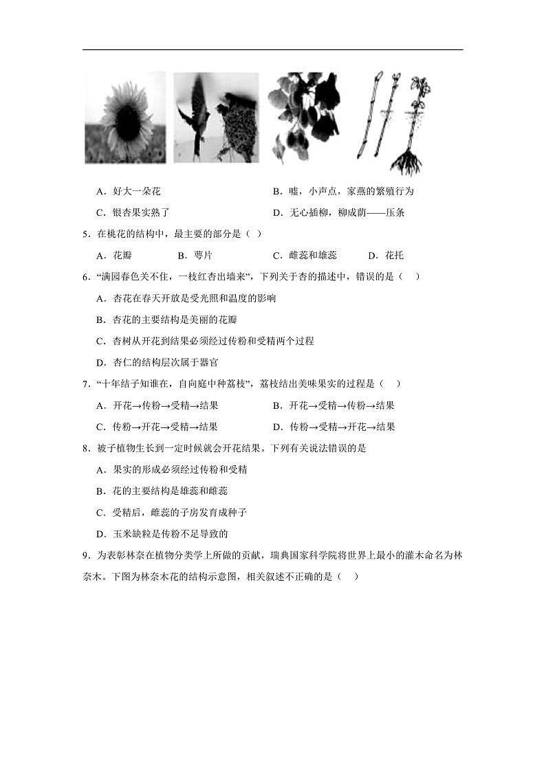 3.1.3  《开花和结果》课时练习第2页