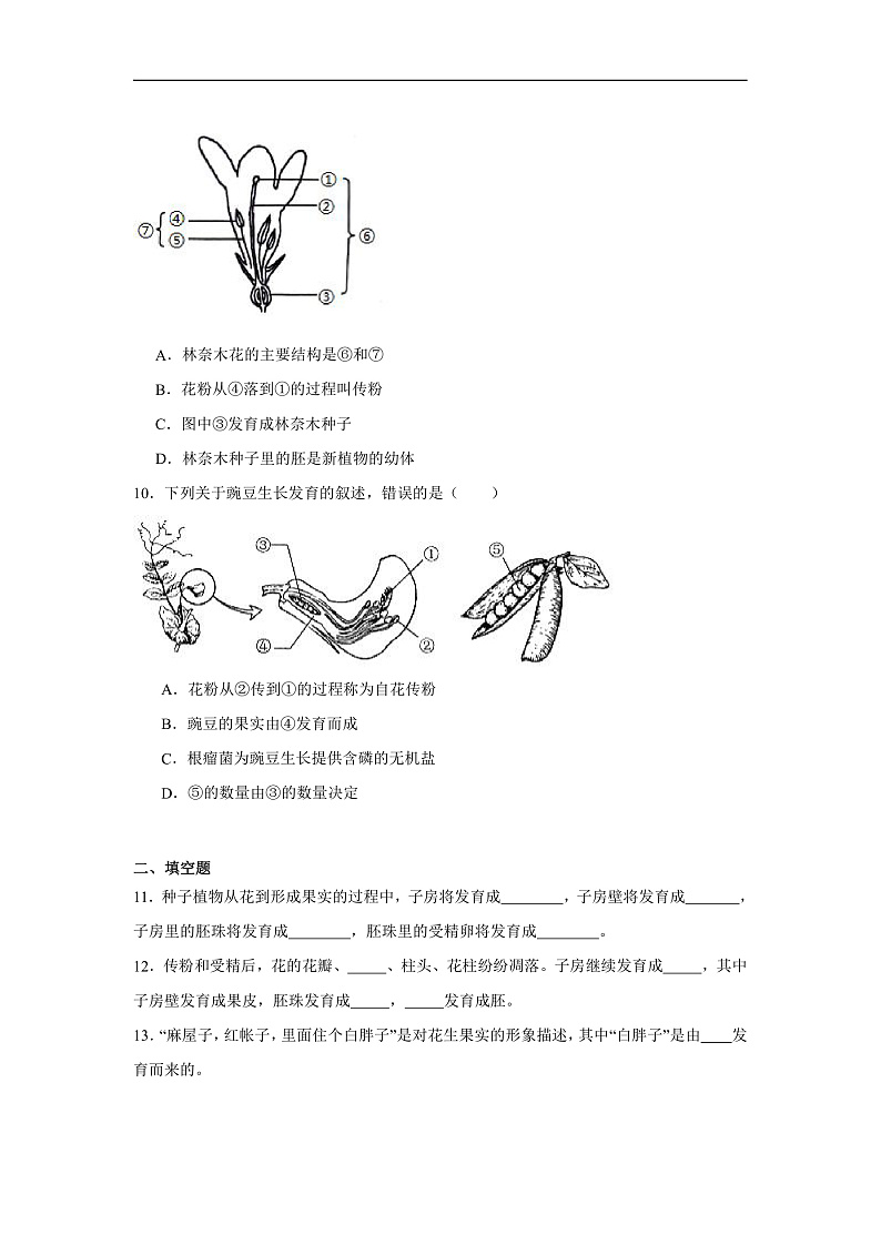 3.1.3  《开花和结果》课时练习第3页