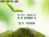 【核心素养】人教版初中生物七年级下册3.1.3《开花与结果》课件＋教案(含教学反思)+课时练习+学案