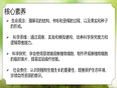 【核心素养】人教版初中生物七年级下册3.1.3《开花与结果》课件＋教案(含教学反思)+课时练习+学案