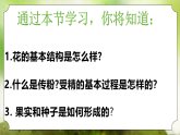 【核心素养】人教版初中生物七年级下册3.1.3《开花与结果》课件＋教案(含教学反思)+课时练习+学案