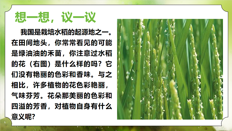 【核心素养】人教版初中生物七年级下册3.1.3《开花和结果》课件第4页