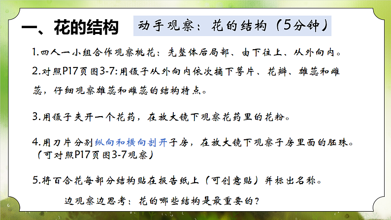 【核心素养】人教版初中生物七年级下册3.1.3《开花和结果》课件第6页