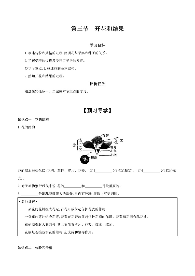 人教版初中生物七年级下册3.1.3《开花和结果》学案第1页