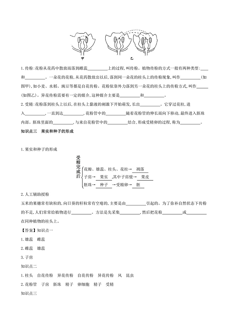 人教版初中生物七年级下册3.1.3《开花和结果》学案第2页