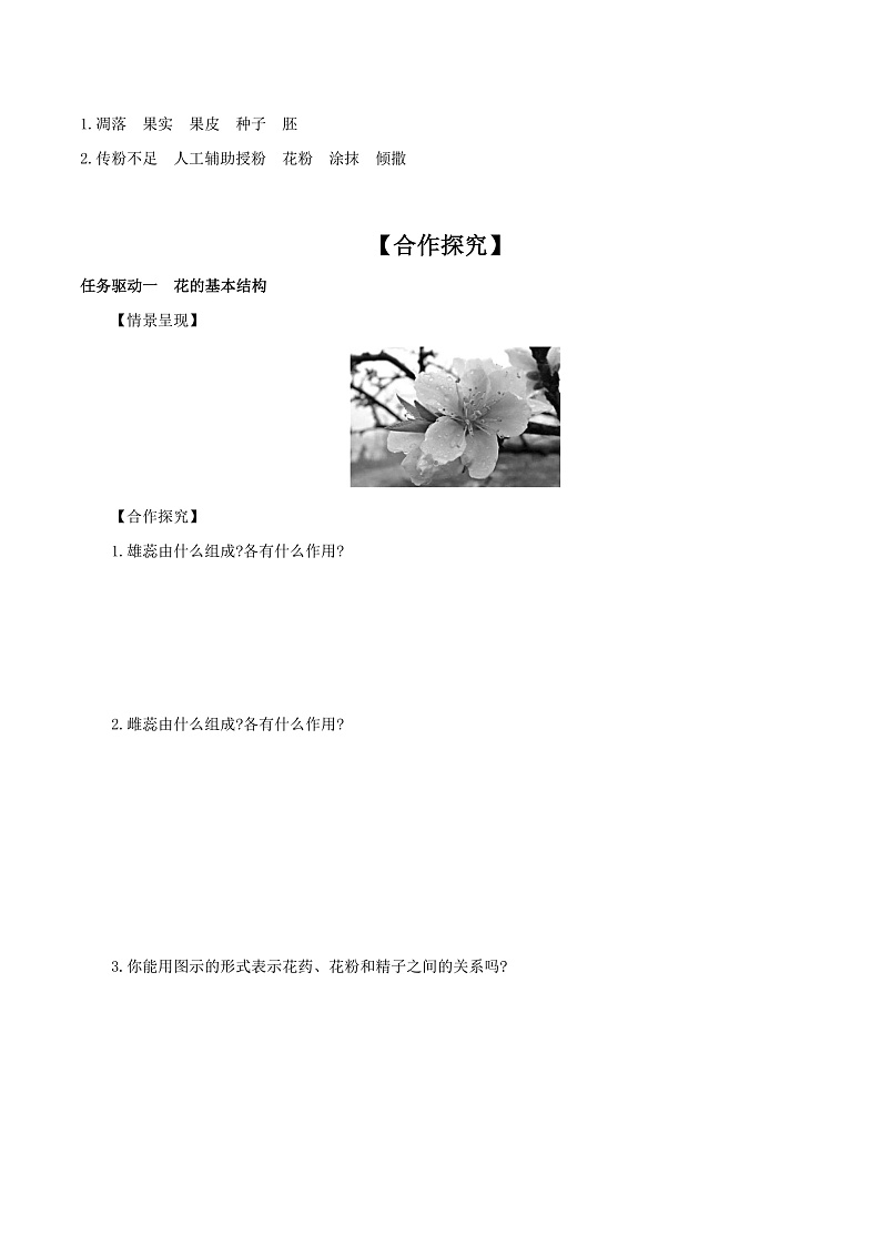 人教版初中生物七年级下册3.1.3《开花和结果》学案第3页