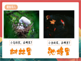 【核心素养】人教部编版道法三下 5.1 《我的家在这里》第一课时  课件+教案+素材