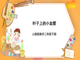 人教版美術(shù)二年級下冊第8課《葉子上的小“血管”》課件