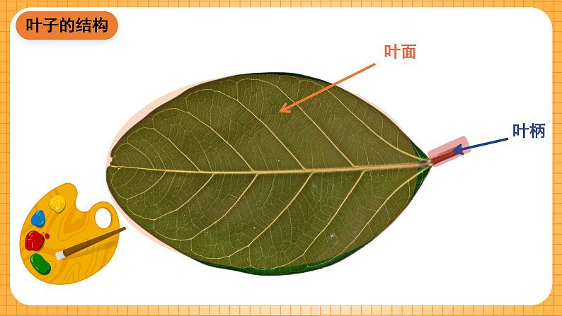 16596426第4页