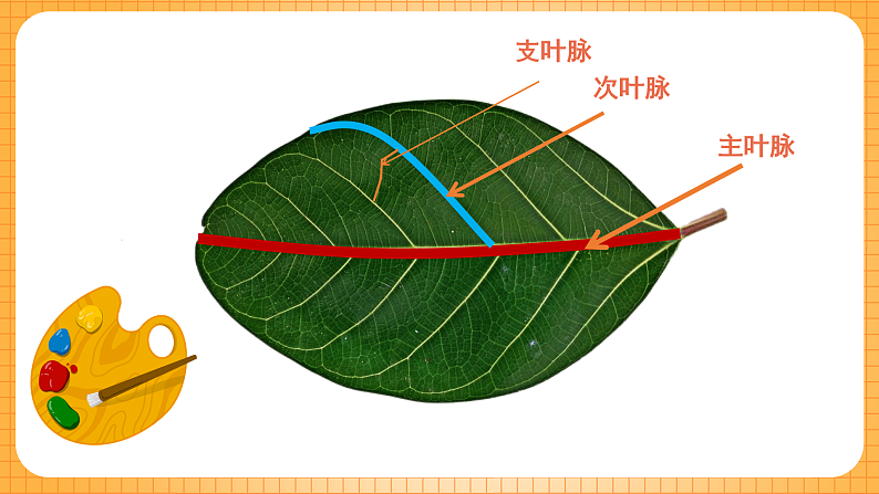 16596426第5页