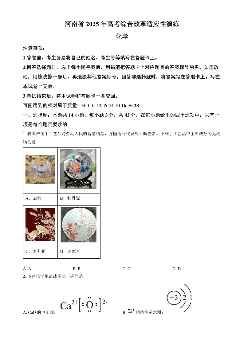 2025年1月八省联考高考综合改革适应性测试——高三化学试卷Word版无答案（河南）第1页