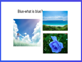 新概念英语(青少版)英语1B  Unit 21《Breakfast blues》课件+讲义+素材