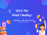 沪教牛津版（六三制）英语八下 Unit 6《 Pets》第1课时Reading I 课件+教案+分层练习（含答案）+音频