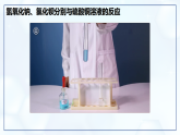 10.3 常見(jiàn)的鹽（第2課時(shí)）-初中化學(xué)九年級(jí)下冊(cè)同步教學(xué)課件+同步練習(xí)（人教版2024）