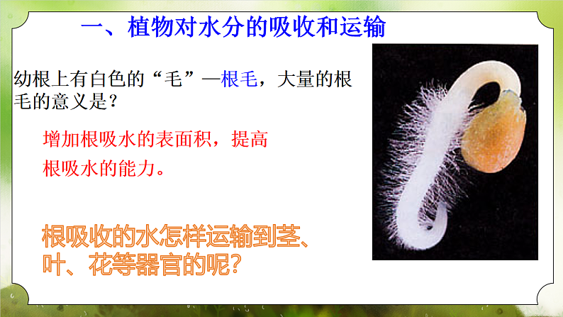 【核心素养】人教版初中生物七年级下册3.2.1《水的利用和散失》课件第5页