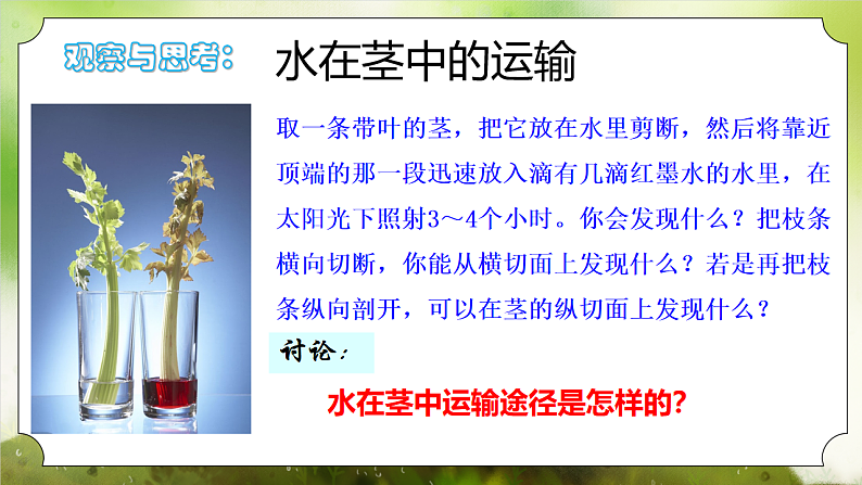 【核心素养】人教版初中生物七年级下册3.2.1《水的利用和散失》课件第8页