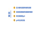 8.1 溶液的酸碱性-初中化学九年级下册同步教学课件+同步练习（科粤版2024）