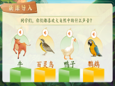 【新课标-核心素养】人教版语文六下 16《表里的生物》课件+教案+音视频素材