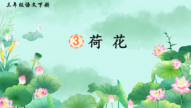 3 荷花第2页