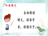 【新課標(biāo)】人教部編版語文三下 3《荷花》課件+教案+音視頻素材