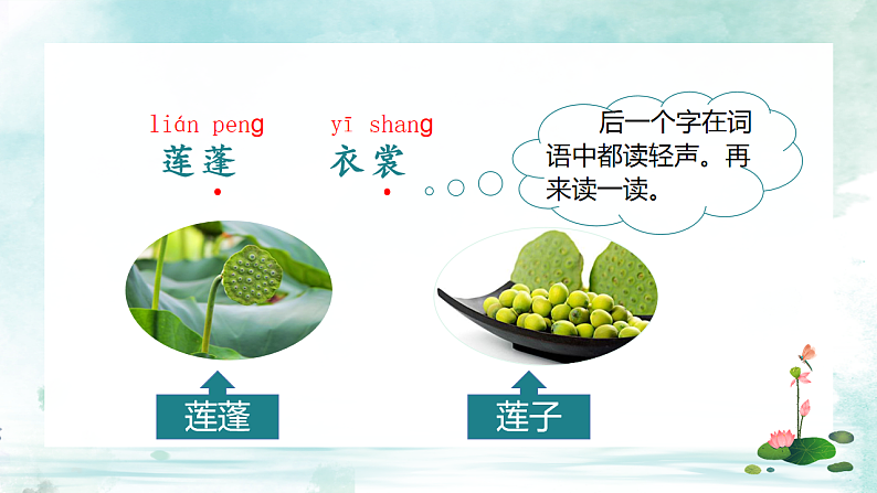 3 荷花第7页