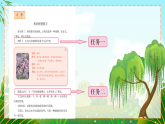 【新課標(biāo)】人教部編版語(yǔ)文三下《習(xí)作：我的植物朋友》課件+教案+音視頻素材