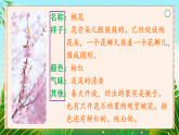 【新課標(biāo)】人教部編版語(yǔ)文三下《習(xí)作：我的植物朋友》課件+教案+音視頻素材