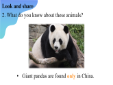 2024年人教版英語七年級 (下) - Unit 1 Section A -1 (Listening + Speaking + Pronunciation) 課件