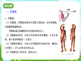 华师大版科学九下 4.2《运动与健康》第2课时 课件+教案+学案+素材