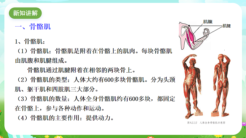 华师大版科学九下 4.2《运动与健康》第2课时 课件第3页