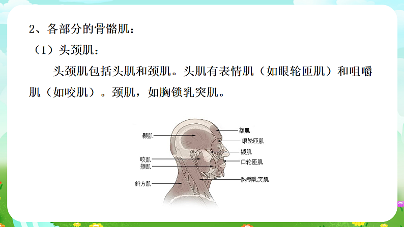 华师大版科学九下 4.2《运动与健康》第2课时 课件第5页