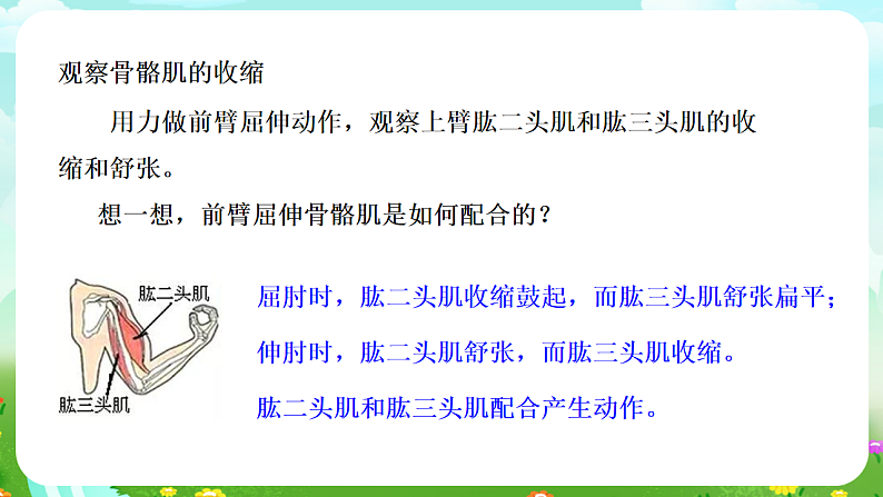 华师大版科学九下 4.2《运动与健康》第2课时 课件第8页