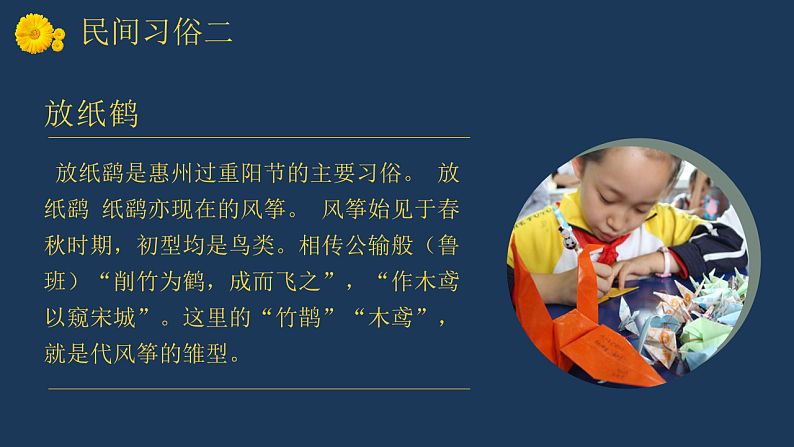 16646148第5页
