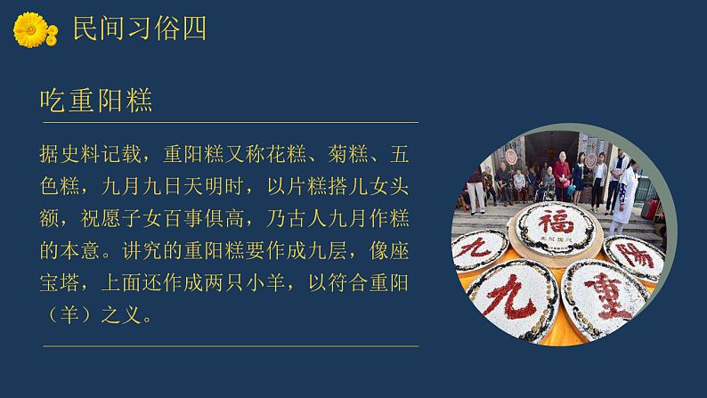 16646148第7页