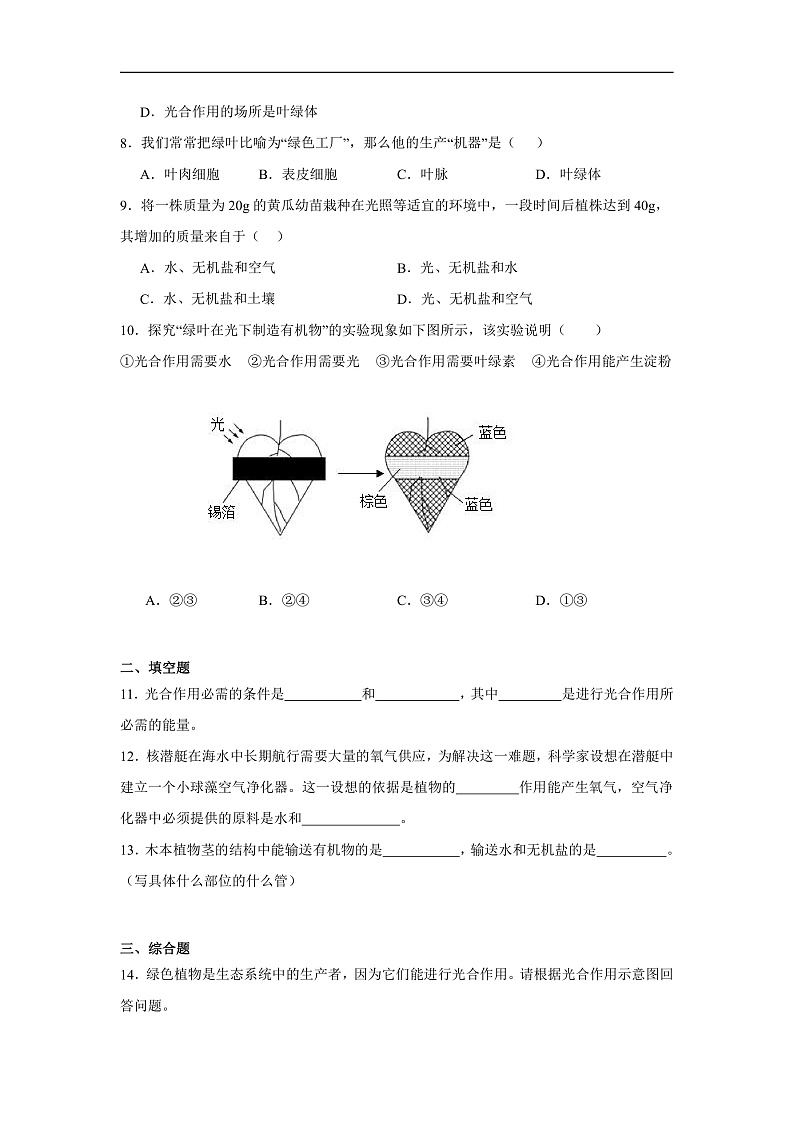 3.2.2《光合作用》课时练习第2页