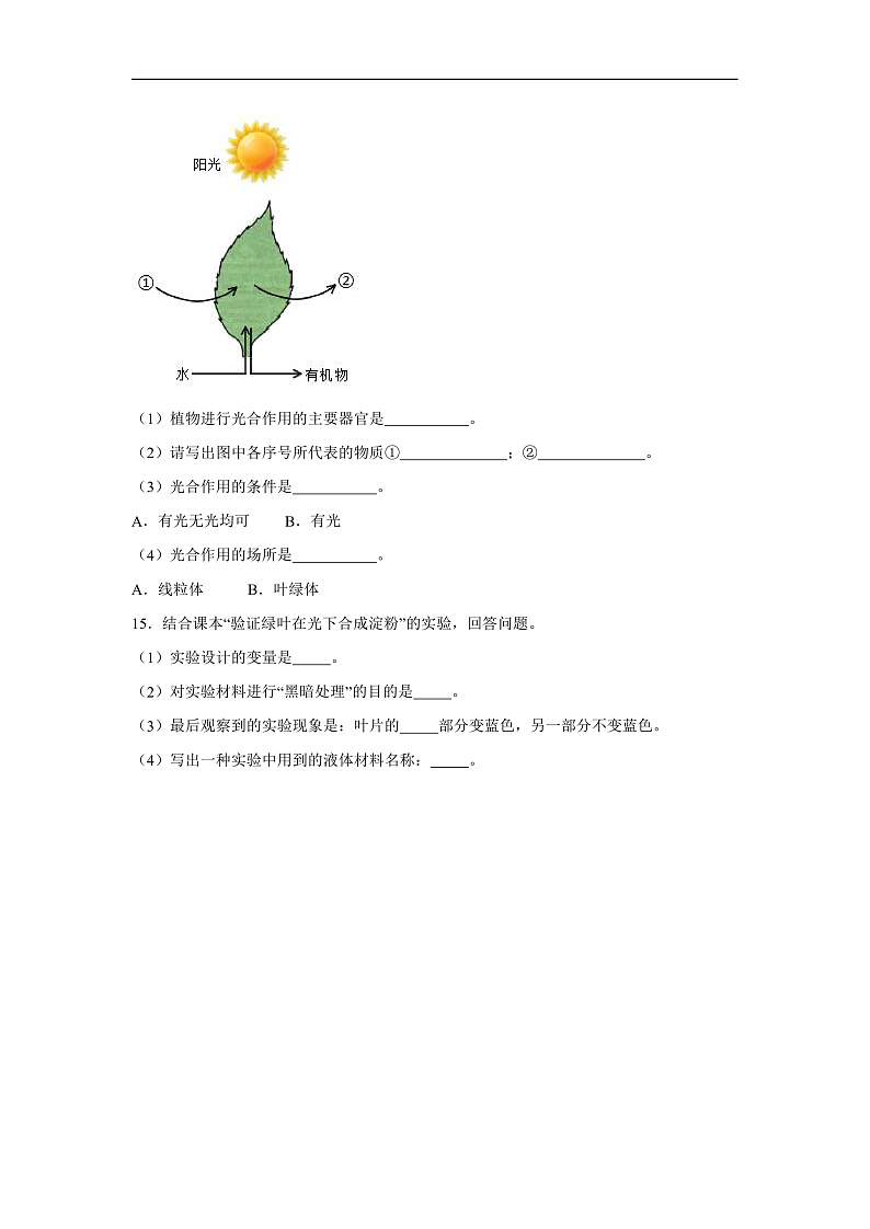 3.2.2《光合作用》课时练习第3页