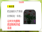 【核心素养】人教版初中生物七年级下册3.2.2《光合作用》课件＋教案（含教学反思）