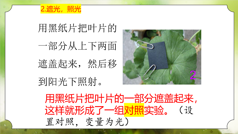【核心素养】人教版初中生物七年级下册3.2.2《光合作用》课件第6页