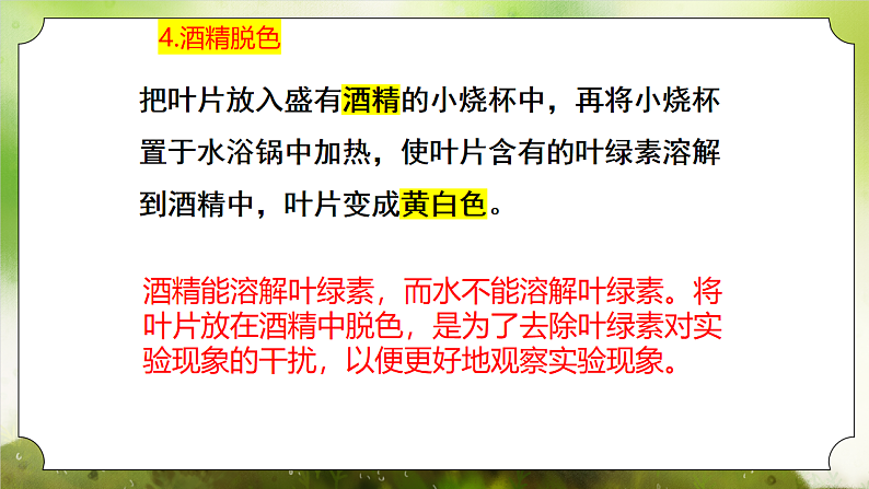 【核心素养】人教版初中生物七年级下册3.2.2《光合作用》课件第8页