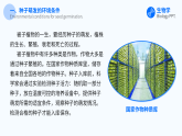 人教版（2024）生物 七年级下册 3.1.1 种子的萌发 【省心备课】同步课件+教学设计+课后练习（含答案）+备课素材